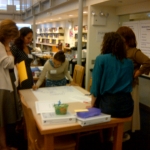 manhattan_20120716_00313